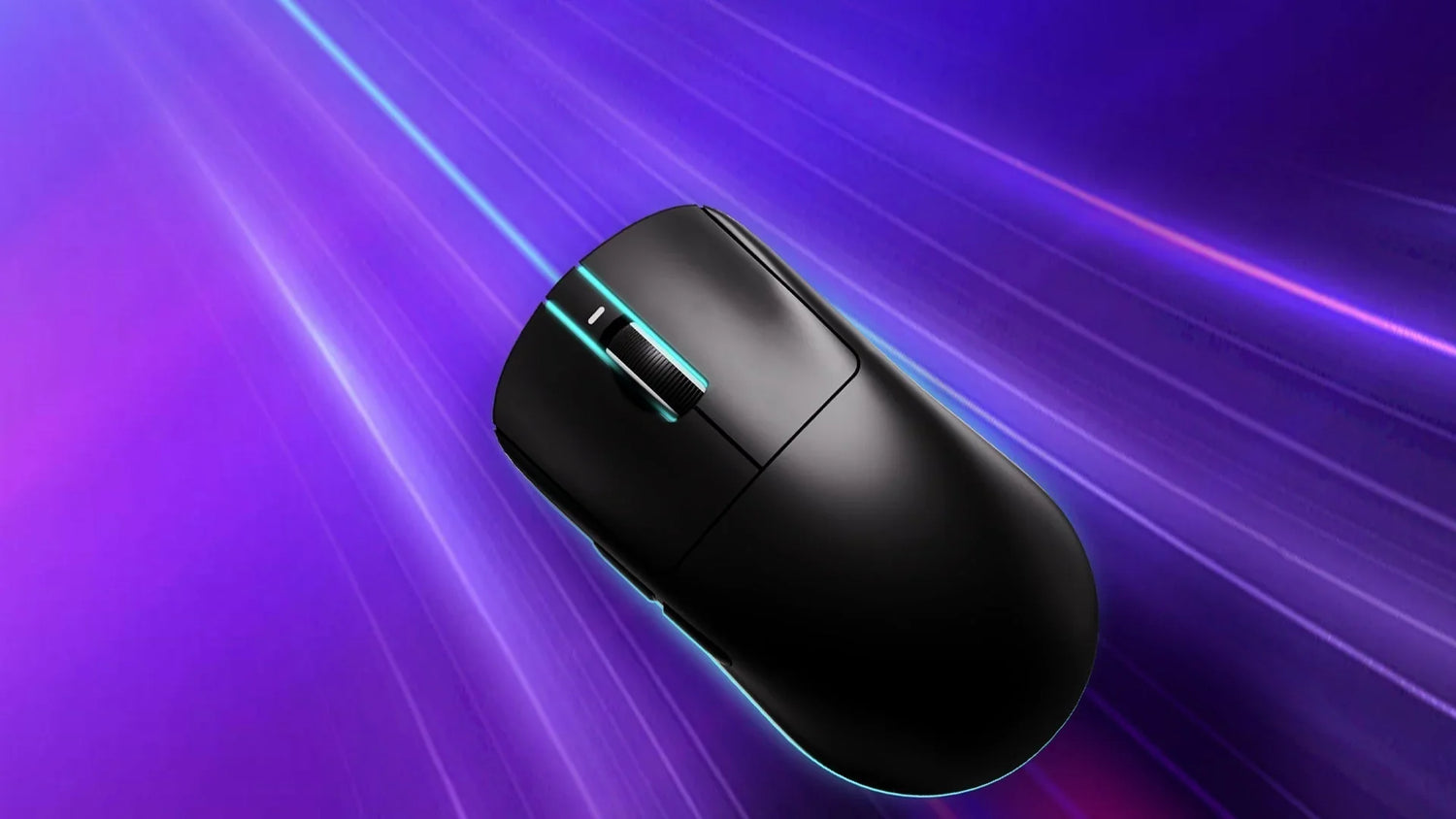 Mouse